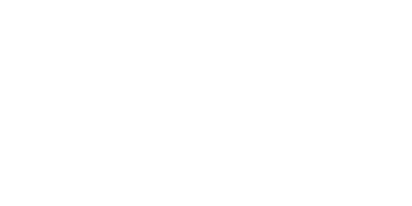 آرتین همتا هایکسمی لوگو artinhamta hiksemi logo