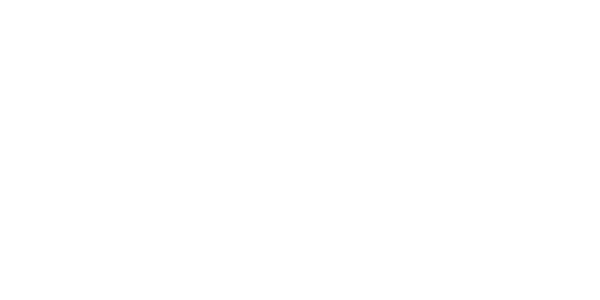 آرتین همتا لکسار لوگو artinhamta lexar logo