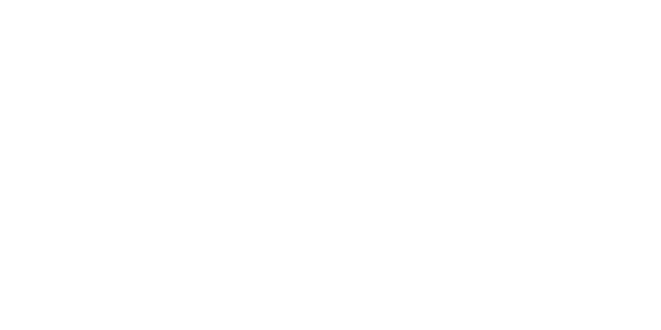 آرتین همتا نتاک لوگو artinhamta netac logo