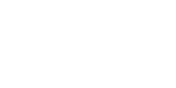 آرتین همتا وسترن دیجیتال لوگو artinhamta westerndigital logo